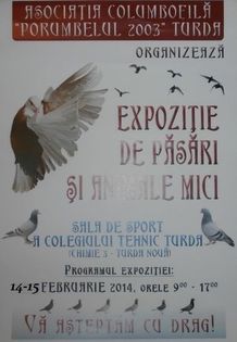 194385 vizite - O- Expozitie Turda 2015
