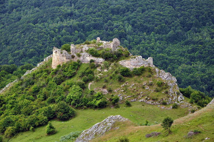 Cetatea_in_iunie,_2014 - cetati din ROMANIA