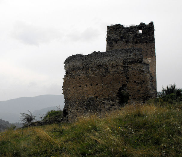 Cetatea_Malaiesti - cetati din ROMANIA