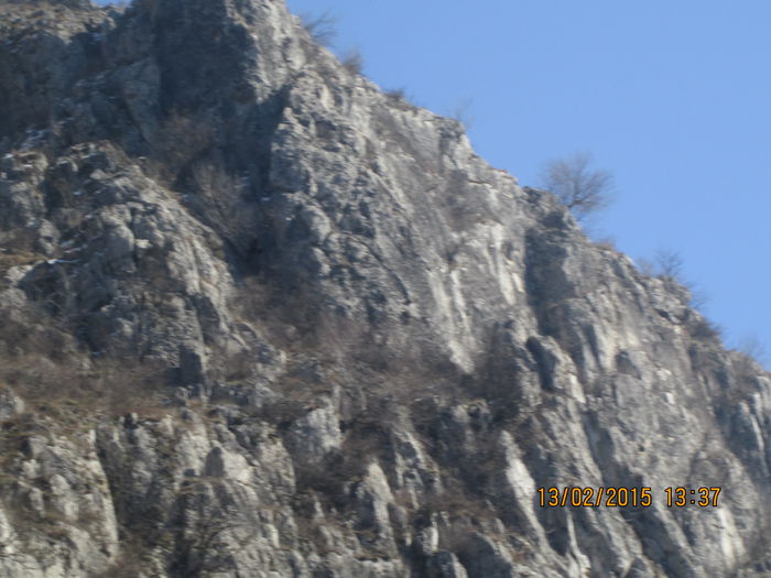 IMG_0449 - Valea Sohodolului in februarie