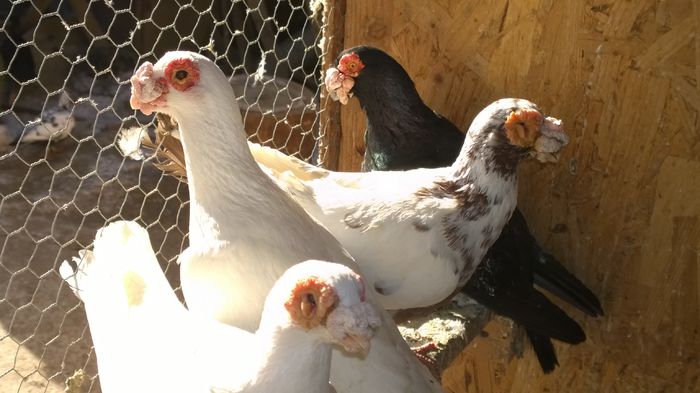 WP_20150214_10_25_25_Pro