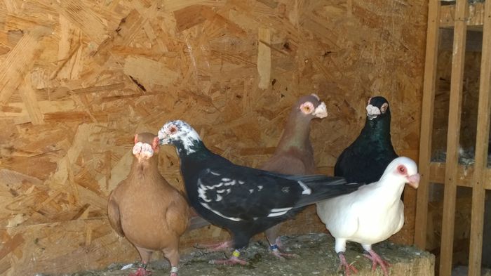 WP_20150214_10_25_11_Pro