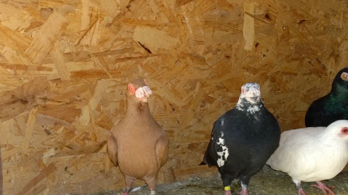 WP_20150214_10_25_06_Pro