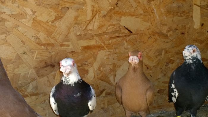 WP_20150214_10_25_00_Pro