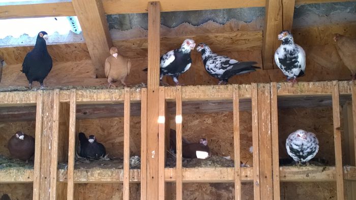 WP_20150214_10_24_47_Pro