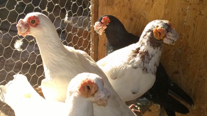 WP_20150214_10_23_52_Pro