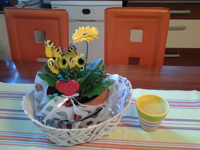 20150214_103603