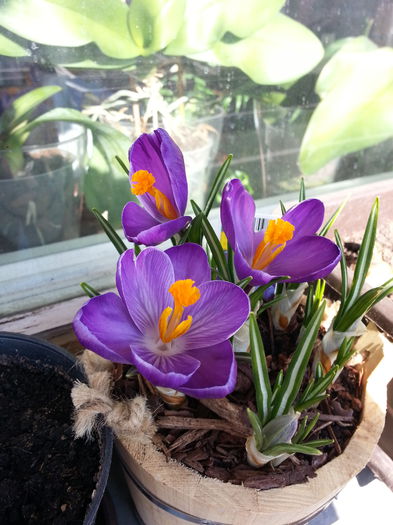 20150214_135534