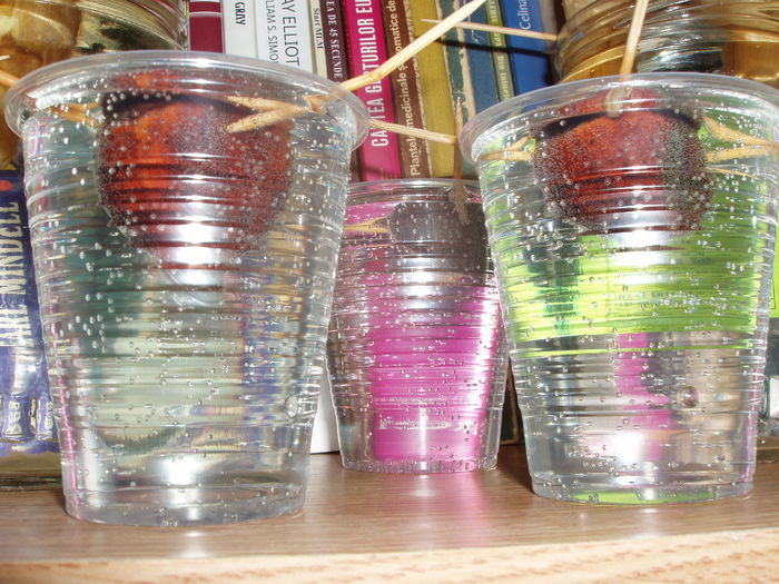 castane comestibile 14 feb.2015 (6)