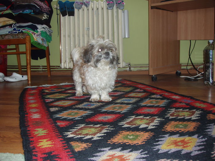 Riky (2) - inceput de februarie 2015