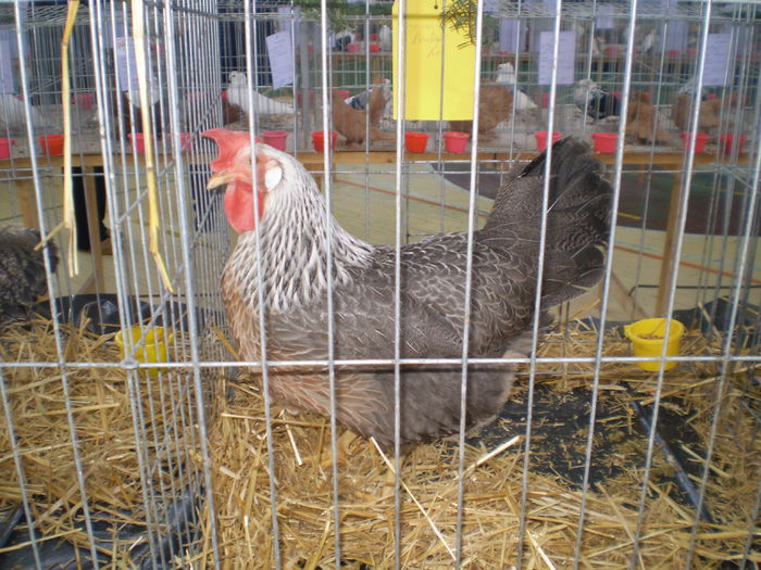 P1050066