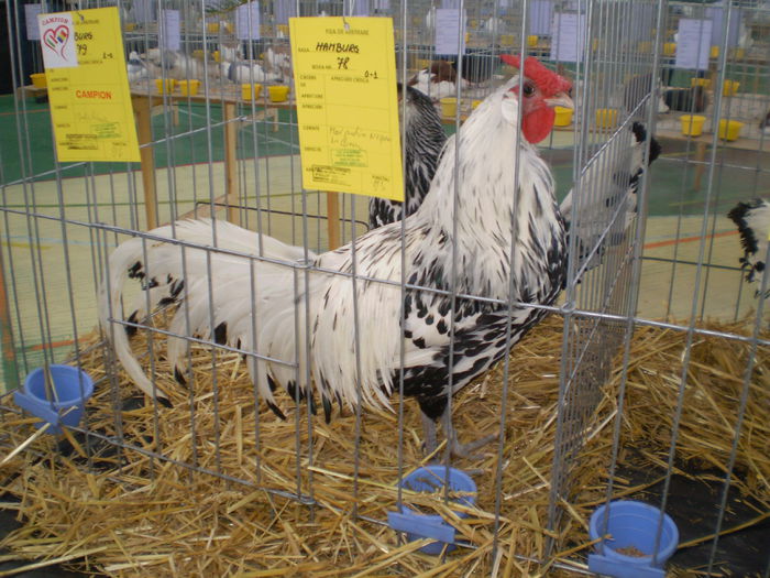 P1050068