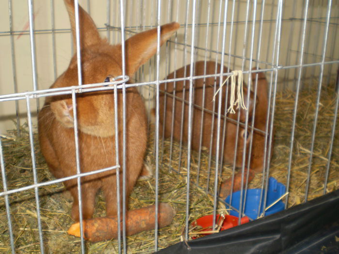 P1050074
