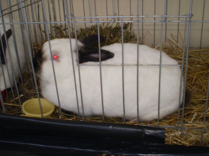 P1050075