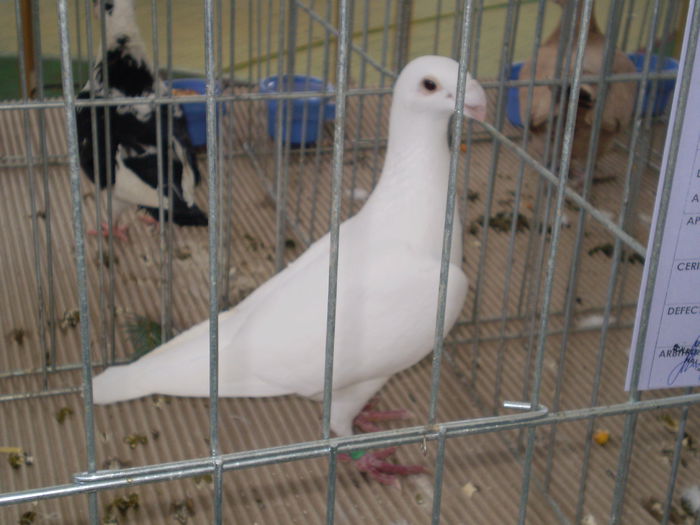 P1050080