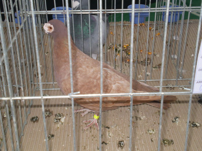 P1050078