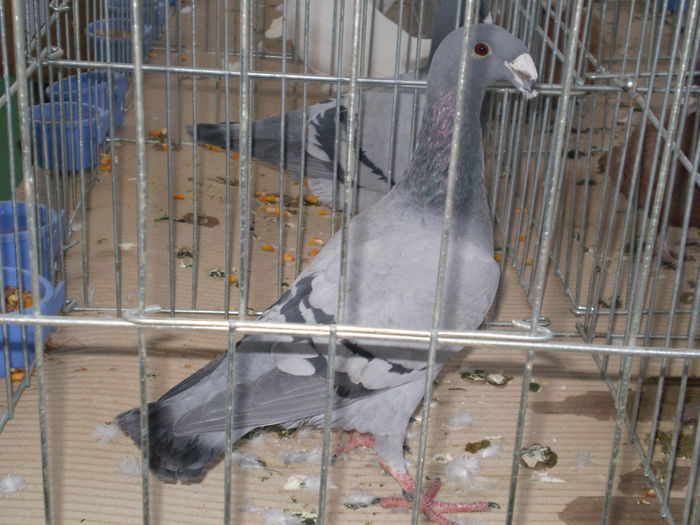 P1050079