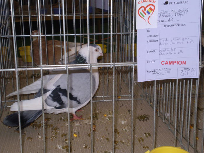 P1050095