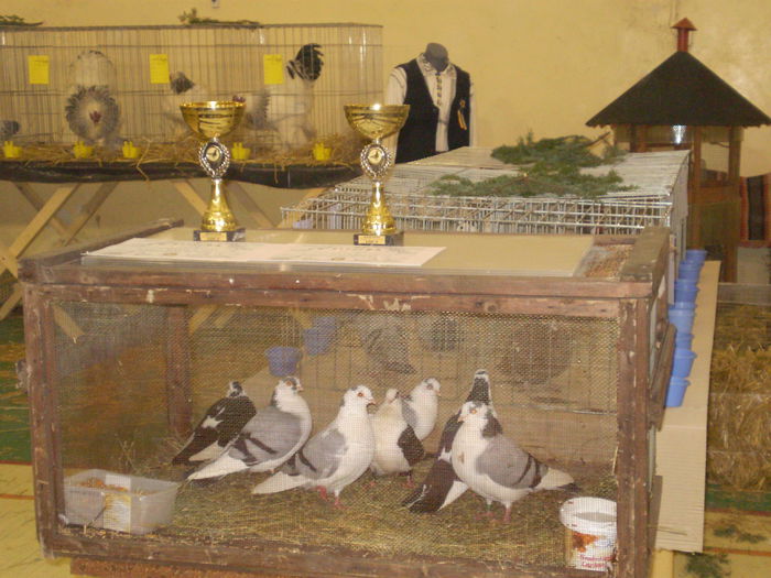 P1040004