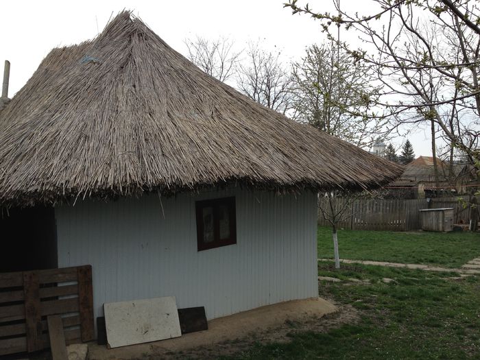 Casa cu stuf com Cotusca jud BT - Satul Romanesc