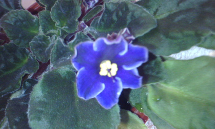 2015-02-15 09.38.34