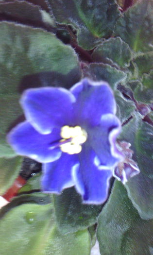 2015-02-15 09.39.11