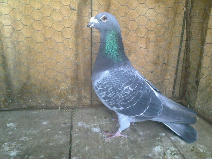 Imag 013076