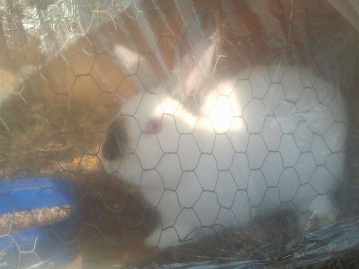 10979444_771694509593395_1652587455_n