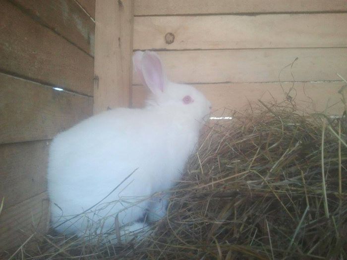 10979173_771694919593354_1183888214_n