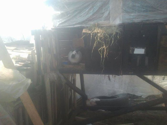 11007511_771694619593384_2105476507_n