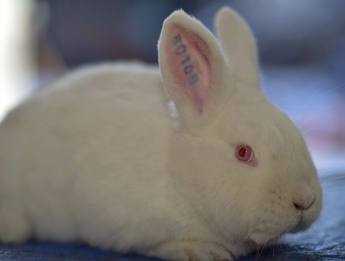 _DUM6237 - noi achizitii