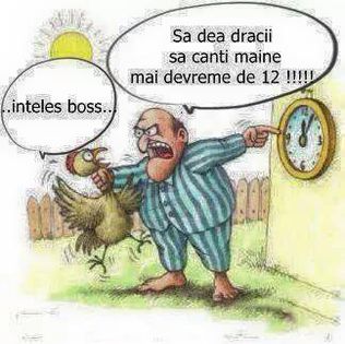 10978601_1017516318263935_3073467467627413177_n