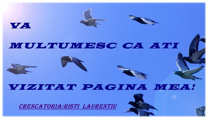 Crescatoria-Risti Laurentiu - CONTACT