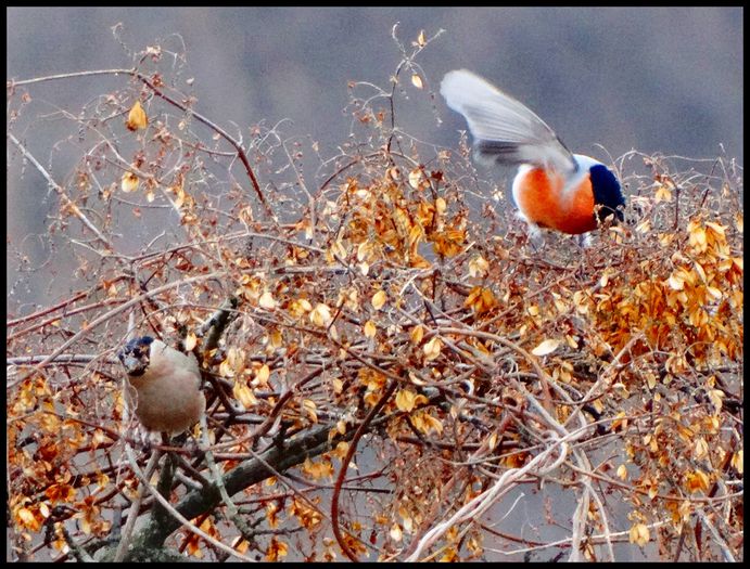 eu am plecat de aici