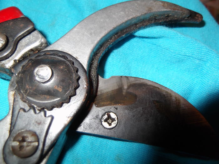 DSCF6221 - 2 februarie