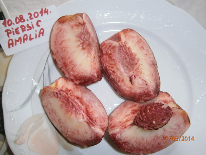 P8101264 - piersic amalia 2014