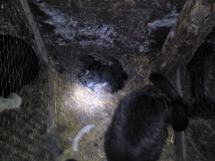 IMG_20150215_173045_1