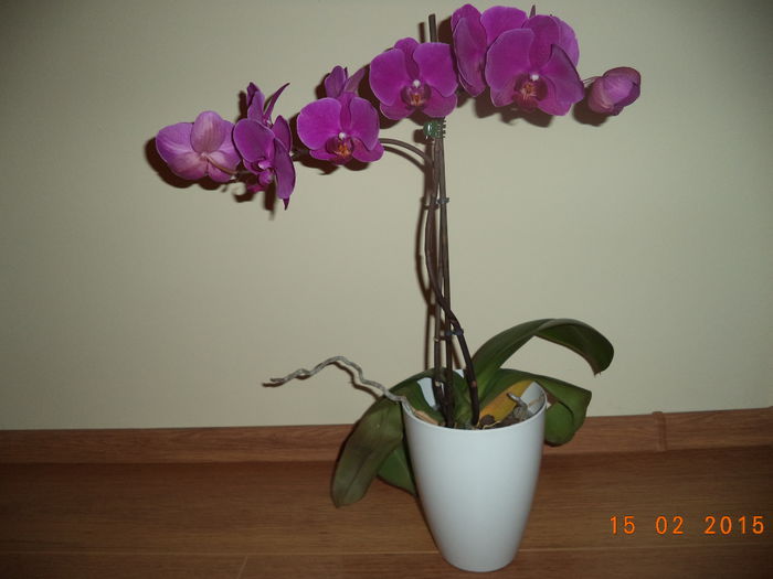DSC02898
