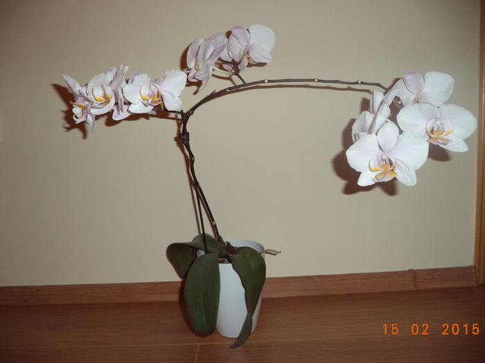 DSC02912