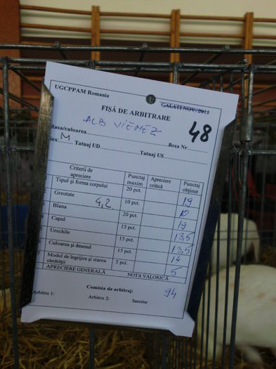 14.02.2015 (35) - Expo RASNOV 2015