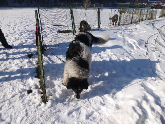 14.02.2015 - Expo RASNOV 2015