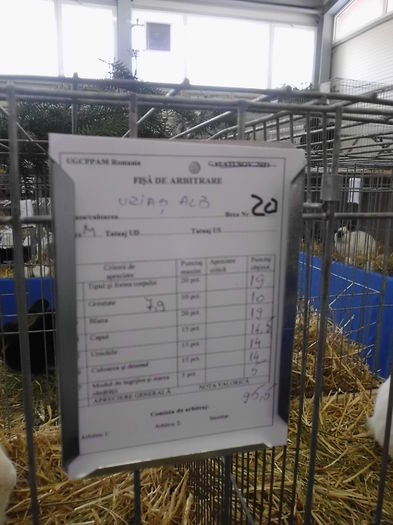 14.02.2015 - Expo RASNOV 2015