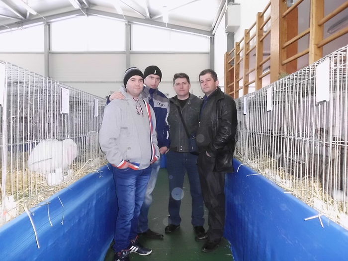 eu,Alecu Razvan,Paru Costin,Ionut Banescu