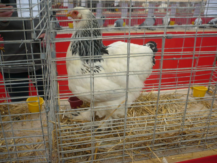 P1050972