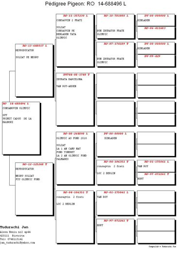 CONSAGVIN PE OLIMPICI