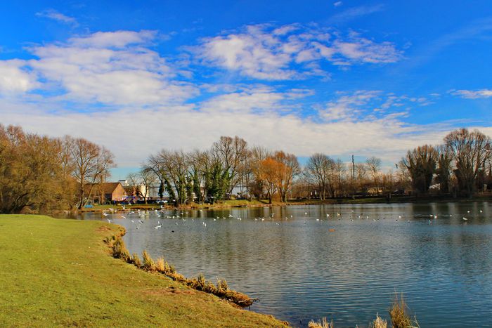 teste foto_00042 - 000 Plimbare pe marginea lacului in Valenciennes