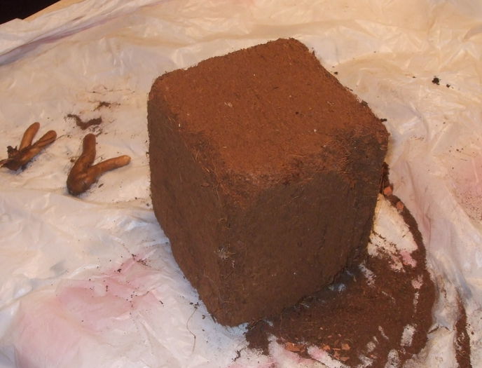 2 Cocopeat un sfert de caramida