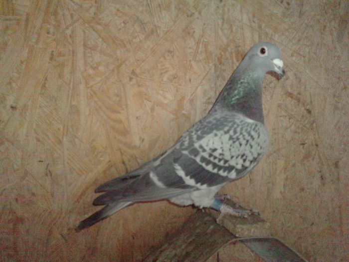 P110114_14.290004[1]