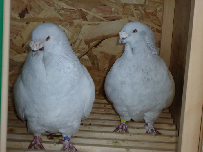 M-2012-2802&F-2011-940