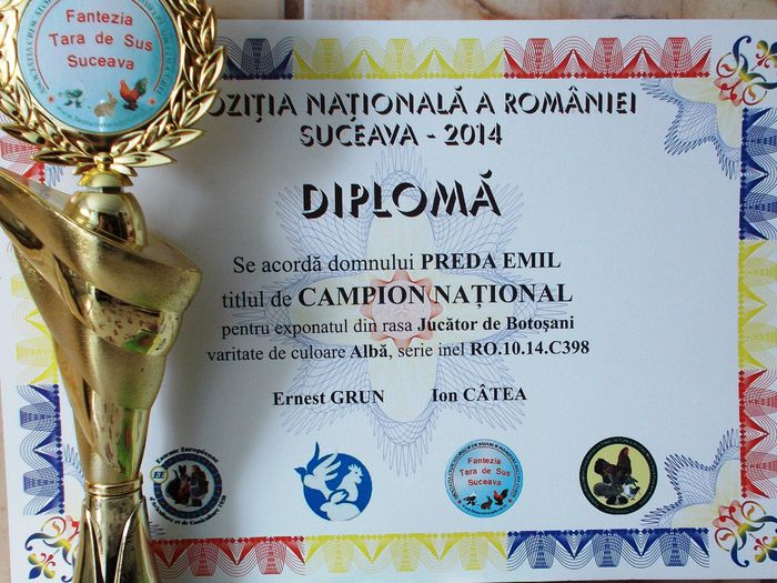 Expo. Nat. Suceava 2014 - Vezi competitii rezultate distinctii